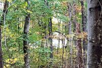 Property for sale in Henry County, Tennessee