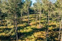 Property for sale in Marion County, South Carolina