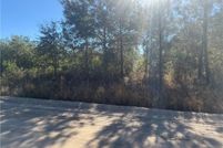 Property for sale in Brantley County, Georgia