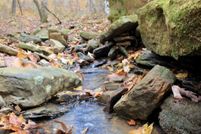 Undeveloped Land for sale in Madison County, Arkansas