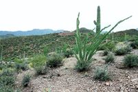 Property for sale in Pima County, Arizona