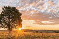 Property for sale in Colorado County, Texas