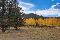 Undeveloped Land for sale in Park County, Colorado