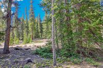 Undeveloped Land for sale in Park County, Colorado