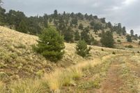 Undeveloped Land for sale in Park County, Colorado