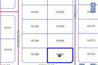 Undeveloped Land for sale in Randall County, Texas