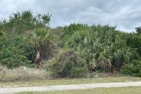 Undeveloped Land for sale in Volusia County, Florida