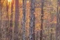 Property for sale in McDowell County, North Carolina