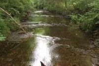 Property for sale in Jefferson County, Kentucky