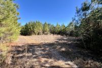 Undeveloped Land for sale in Choctaw County, Alabama