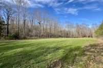 Undeveloped Land for sale in Clarke County, Alabama