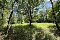 Undeveloped Land for sale in Washington County, Alabama