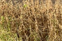 Property for sale in Fairfield County, Ohio