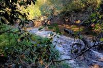 Property for sale in Walton County, Florida