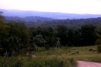 Undeveloped Land for sale in Garrett County, Maryland