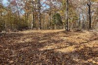 Property for sale in Wayne County, Missouri