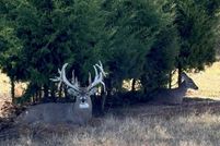 Property for sale in Okfuskee County, Oklahoma