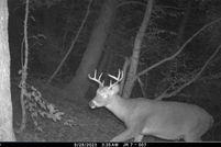 Property for sale in Delaware County, New York