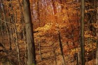 Property for sale in Gratiot County, Michigan