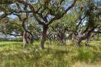 Undeveloped Land for sale in Blanco County, Texas