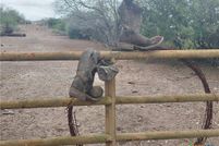 Property for sale in San Patricio County, Texas