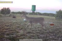 Farm Property for sale in Lampasas County, Texas