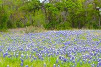 Farm Property for sale in Bell County, Texas