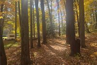 Undeveloped Land for sale in Portage County, Ohio