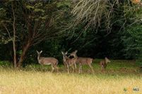 Property for sale in McLennan County, Texas