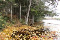 Property for sale in Gogebic County, Michigan