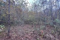 Property for sale in Letcher County, Kentucky
