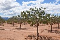 Farm Property for sale in Otero County, New Mexico