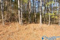 Undeveloped Land for sale in Cherokee County, Alabama