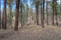 Property for sale in Navajo County, Arizona