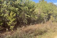 Undeveloped Land for sale in Cocke County, Tennessee