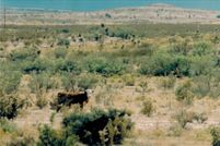Property for sale in Hudspeth County, Texas