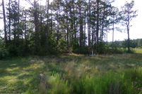 Undeveloped Land for sale in Bladen County, North Carolina