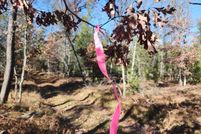 Undeveloped Land for sale in Lake County, Michigan