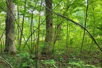 Undeveloped Land for sale in Appomattox County, Virginia