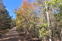 Property for sale in Winston County, Alabama