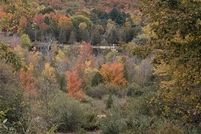 Property for sale in Antrim County, Michigan