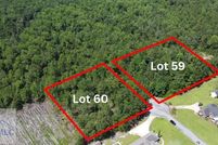 Undeveloped Land for sale in Wayne County, Georgia
