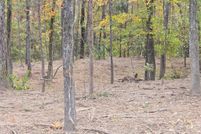 Undeveloped Land for sale in Caddo Parish, Louisiana