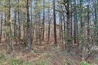 Undeveloped Land for sale in Harris County, Georgia