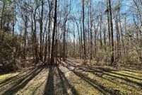 Undeveloped Land for sale in Harris County, Georgia