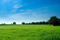 Commercial Property for sale in Cape May County, New Jersey