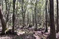 Undeveloped Land for sale in Washington County, Alabama