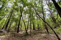 Property for sale in Clarke County, Alabama