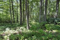 Undeveloped Land for sale in Jackson County, North Carolina