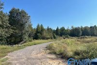 Undeveloped Land for sale in Limestone County, Alabama